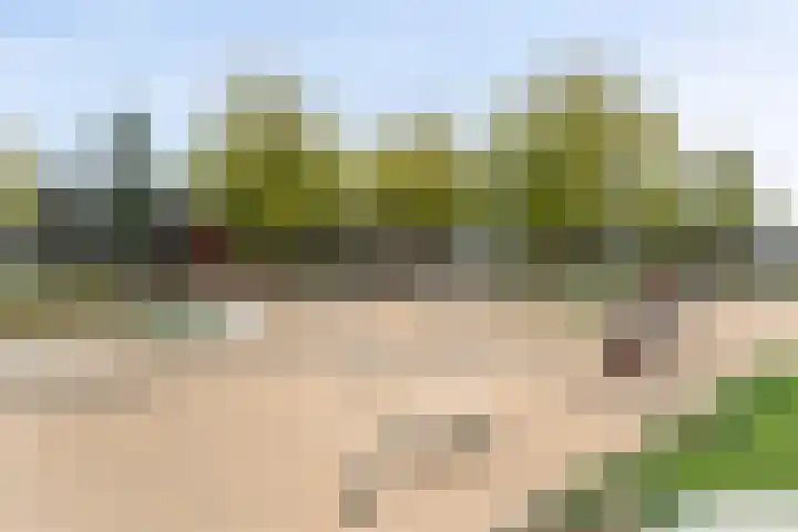 Oldegaarde 800 Rotterdam thumbnail 13