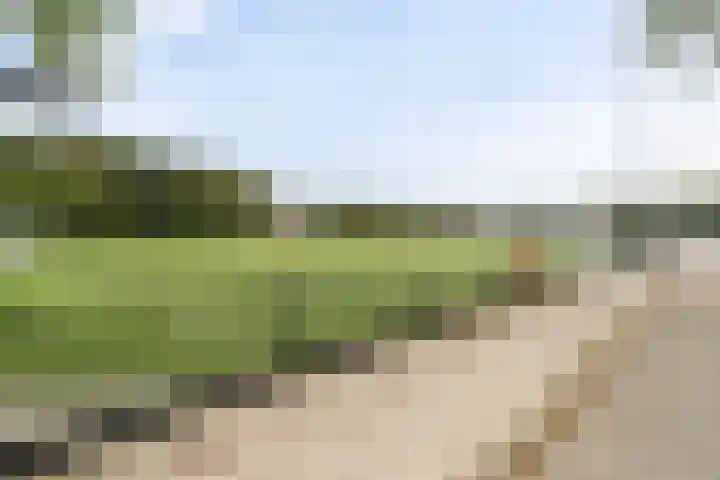 Oldegaarde 800 Rotterdam thumbnail 15
