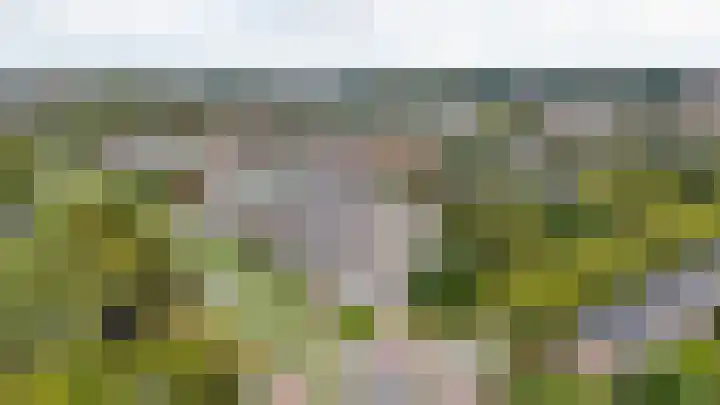 Oldegaarde 800 Rotterdam thumbnail 16