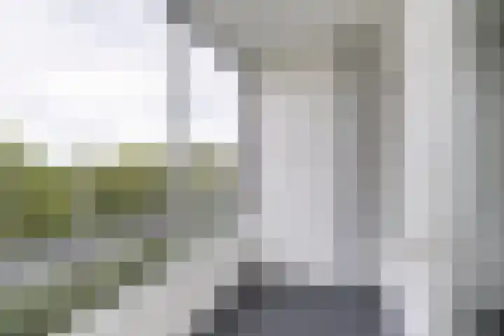 Oldegaarde 800 Rotterdam thumbnail 4