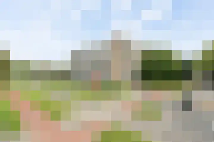 Oldegaarde 800 Rotterdam thumbnail 5