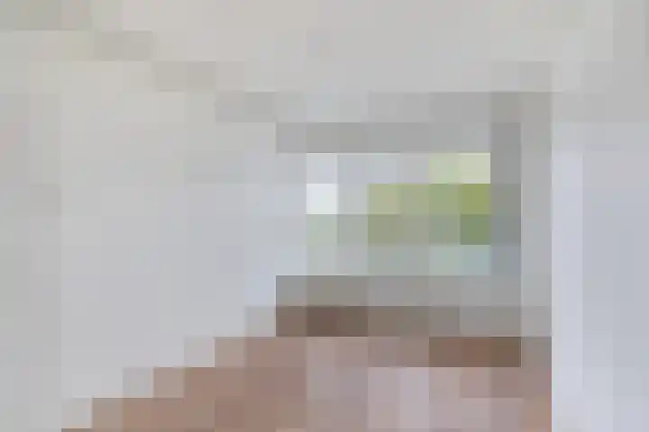 Oldegaarde 800 Rotterdam thumbnail 7