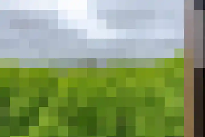 Oldegaarde 824 Rotterdam thumbnail 18
