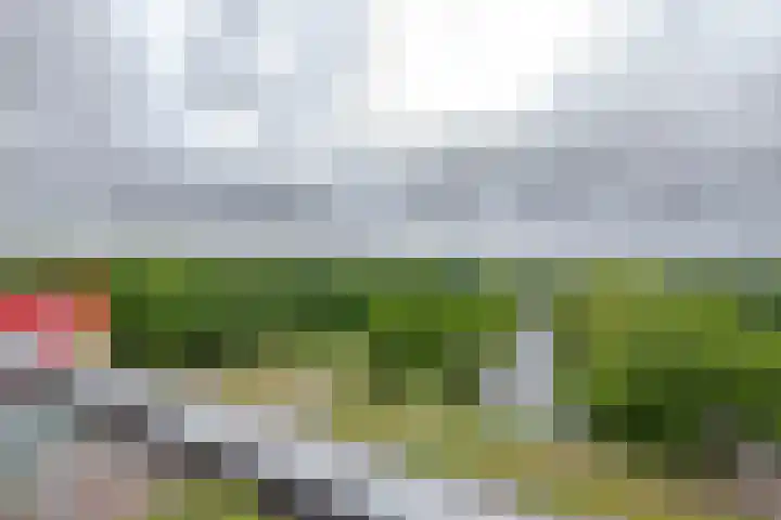 Oldegaarde 824 Rotterdam thumbnail 5