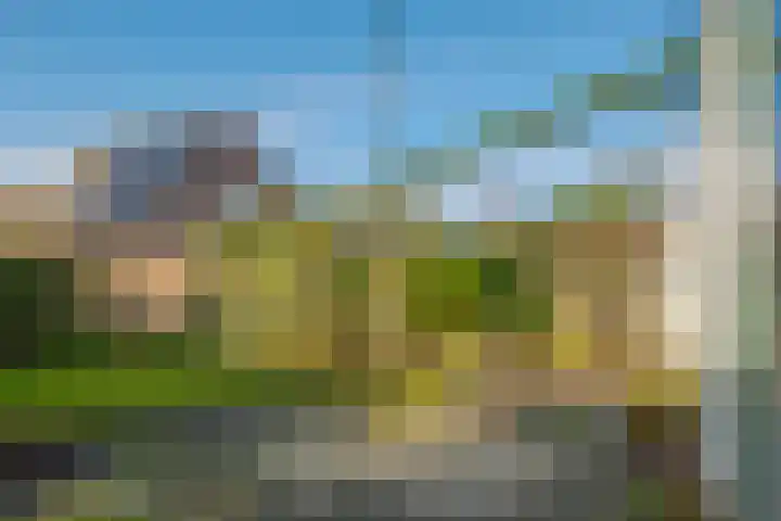 Oldekamp 20 Westerbork thumbnail 17
