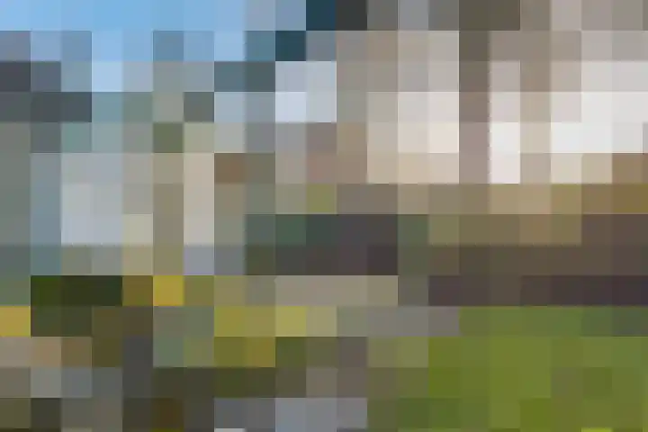 Oldekamp 20 Westerbork thumbnail 18