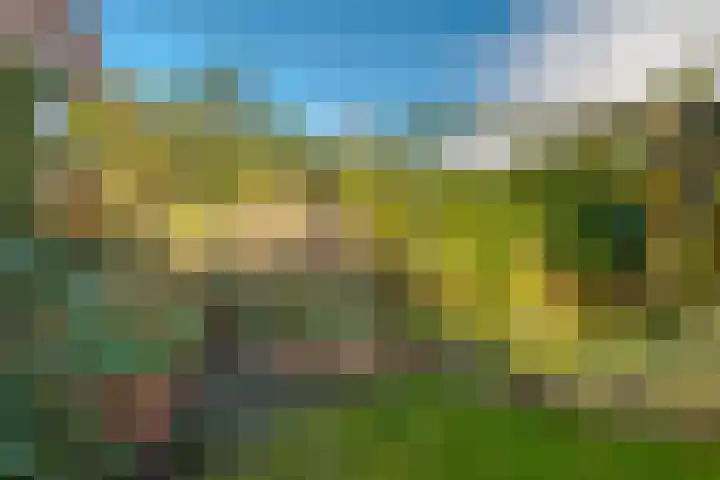 Oldekamp 20 Westerbork thumbnail 20