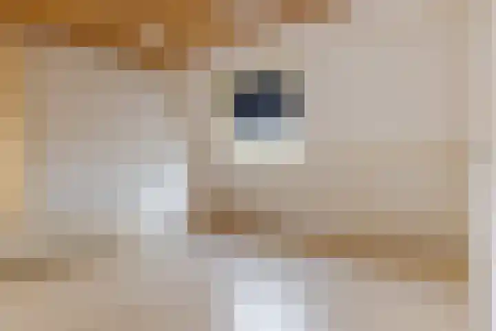 Oldekamp 20 Westerbork thumbnail 37