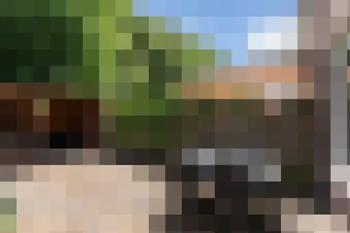 Oldemaad 15 Oosterwolde thumbnail 22