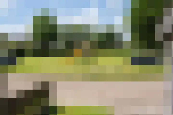 Oldemaad 15 Oosterwolde thumbnail 27