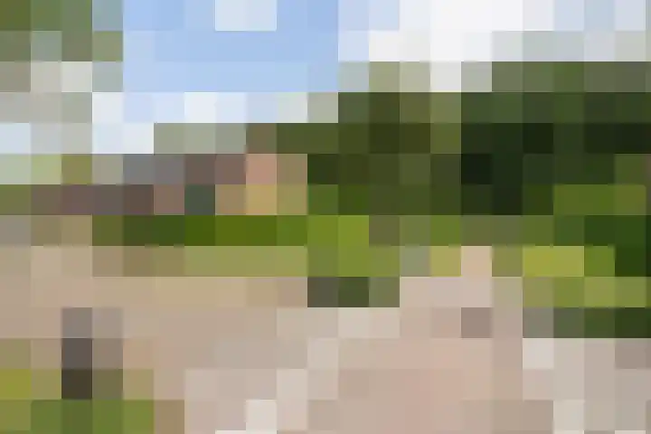 Oldemaad 15 Oosterwolde thumbnail 29