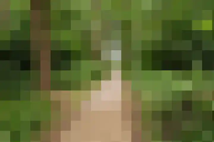 Oldemaad 15 Oosterwolde thumbnail 30
