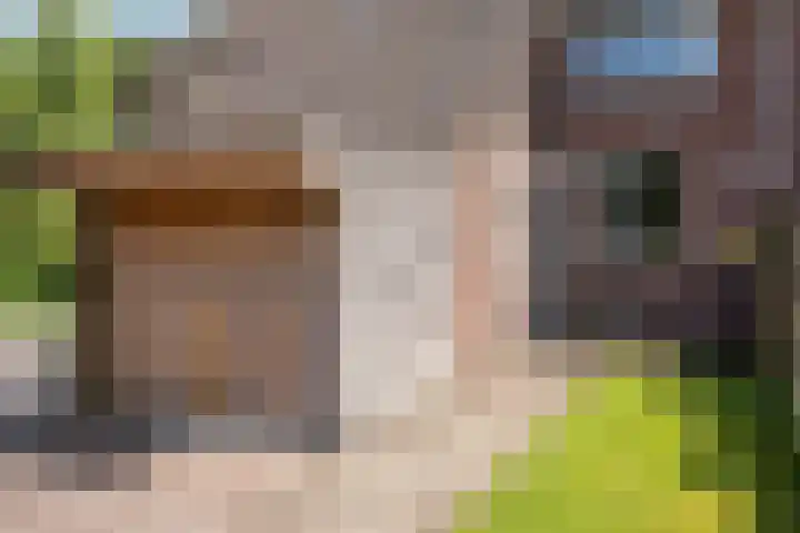 Oldemaad 15 Oosterwolde thumbnail 6