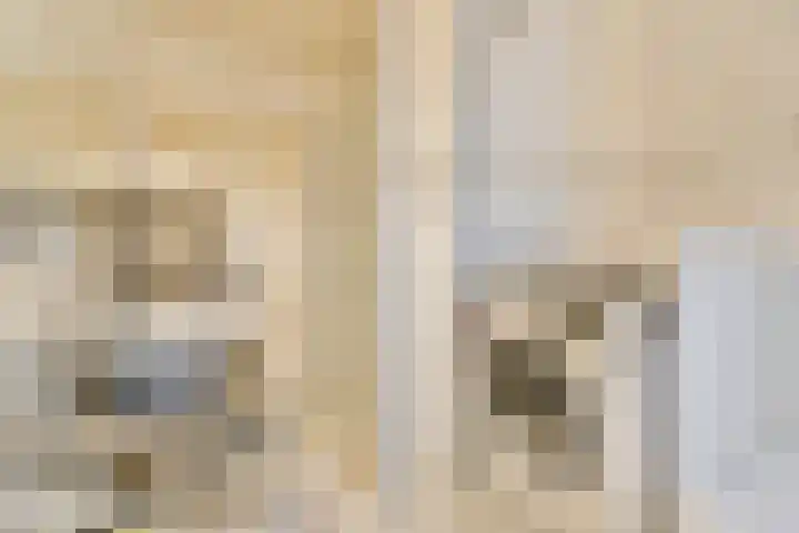 Oldengaarde 111 Amsterdam thumbnail 10