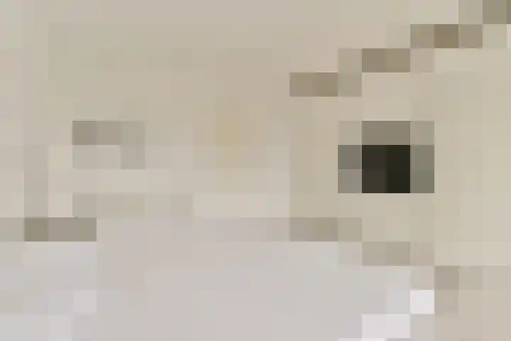 Oldengaarde 111 Amsterdam thumbnail 13