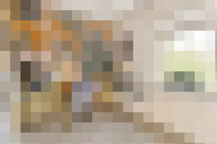 Oldengaarde 111 Amsterdam thumbnail 15