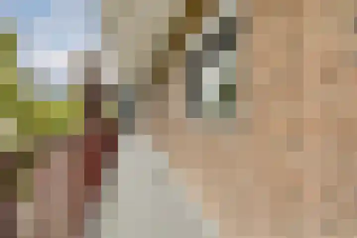 Oldengaarde 111 Amsterdam thumbnail 19