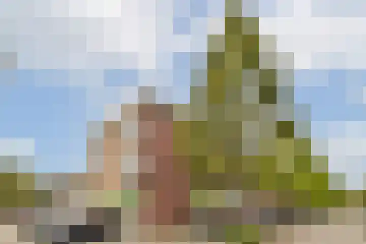 Oldengaarde 111 Amsterdam thumbnail 21