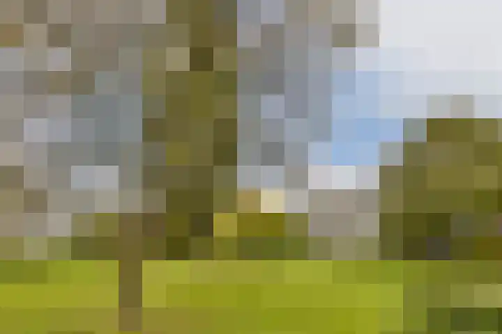 Oldengaarde 111 Amsterdam thumbnail 22