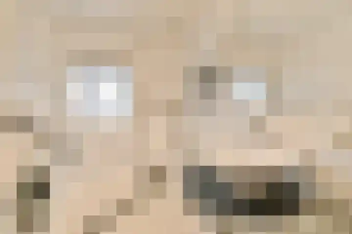 Oldengaarde 111 Amsterdam thumbnail 9