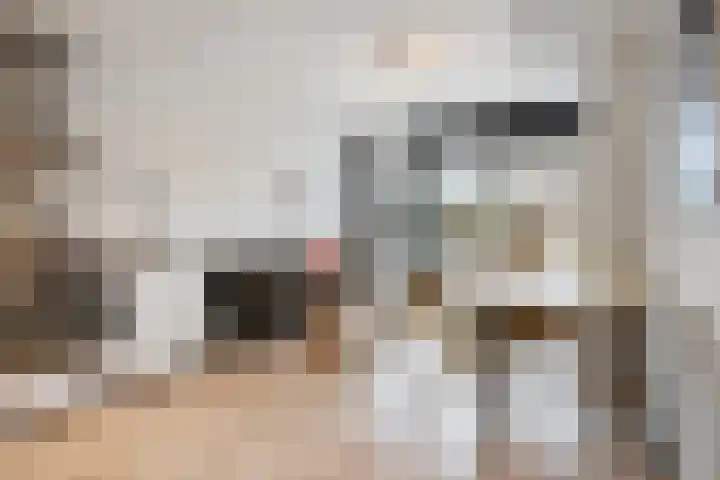 Oldengaarde 22 Amsterdam thumbnail 12