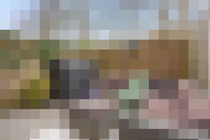Oldengaarde 22 Amsterdam thumbnail 15
