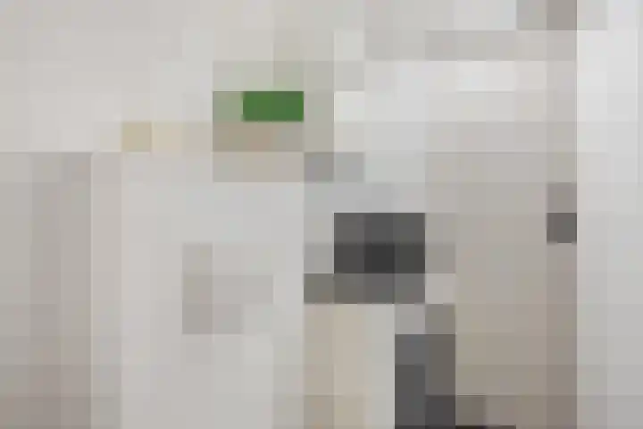 Oldengaarde 22 Amsterdam thumbnail 25