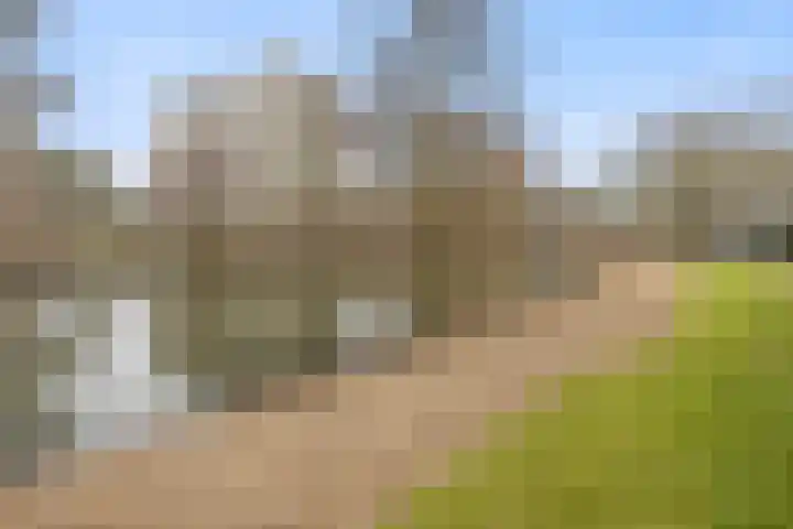 Oldengaarde 22 Amsterdam thumbnail 27