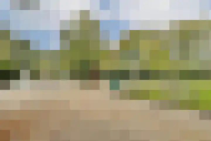 Oldengaarde 22 Amsterdam thumbnail 34