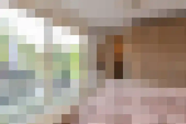 Oldengaarde 51 Amsterdam thumbnail 11