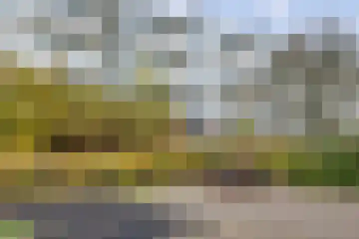 Oldengaarde 51 Amsterdam thumbnail 25