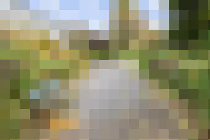 Oldengaarde 51 Amsterdam thumbnail 27