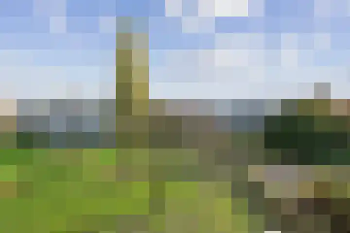 Oldengaarde 51 Amsterdam thumbnail 8