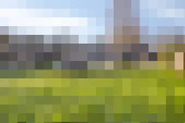 Oldengaerde 26 Roden thumbnail 38