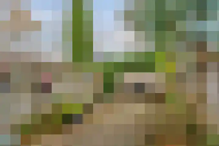Oldengaerde 42 Roden thumbnail 28