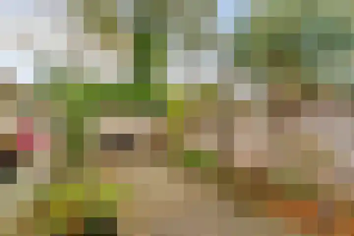 Oldengaerde 42 Roden thumbnail 29