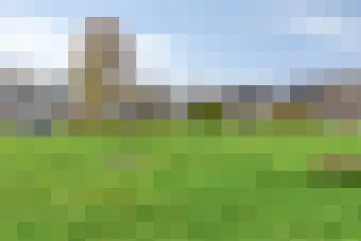 Oldengaerde 42 Roden thumbnail 34