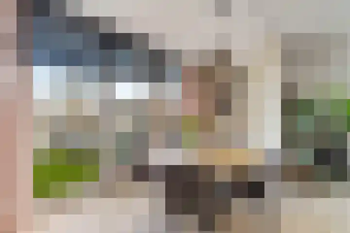 Oldenhagen 24 Rotterdam thumbnail 16