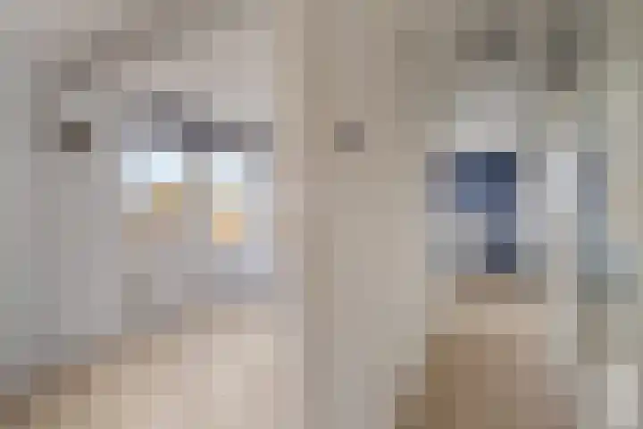 Oldenhagen 24 Rotterdam thumbnail 25