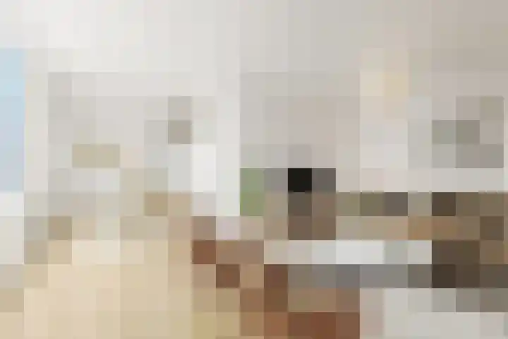 Oldenhagen 68 Rotterdam thumbnail 10