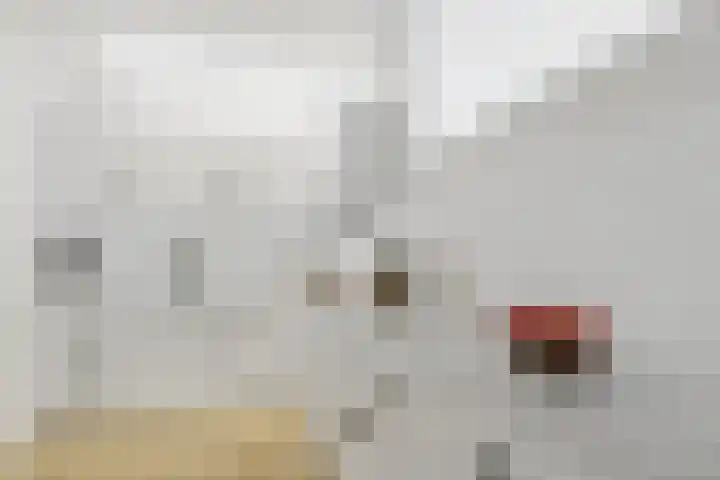 Oldenhagen 68 Rotterdam thumbnail 4