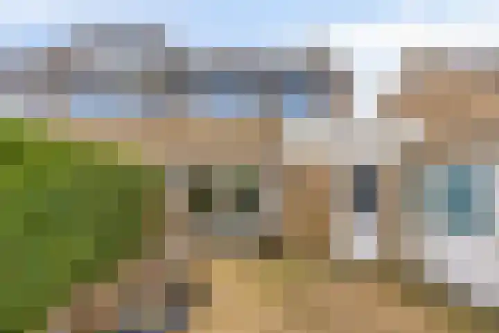 Oldenoert 84 Leek thumbnail 19