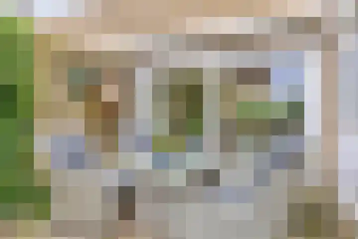 Oldenoert 84 Leek thumbnail 20