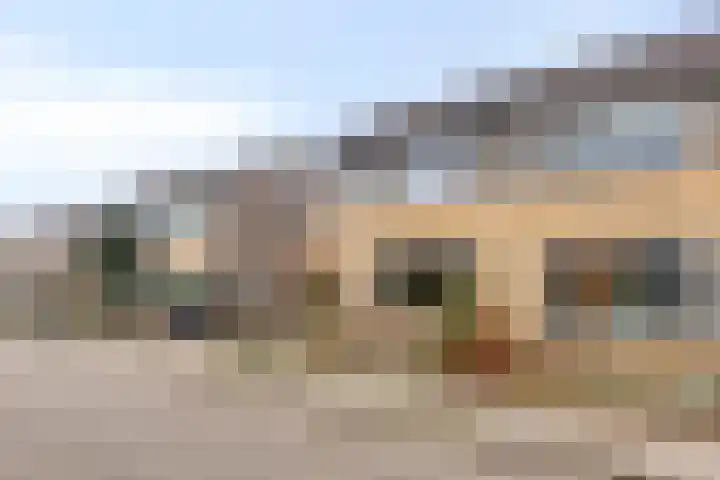 Oldenoert 84 Leek thumbnail 21