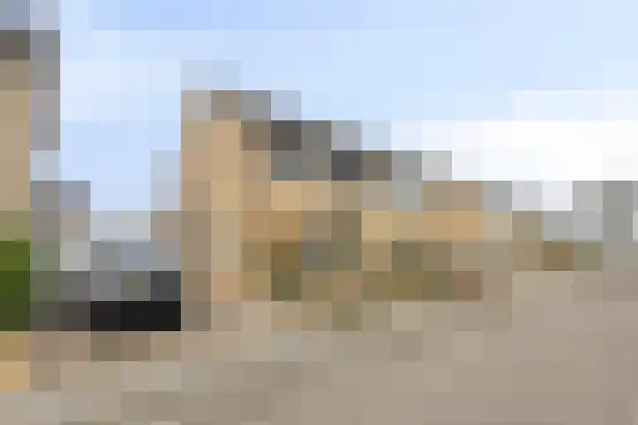 Oldenoert 84 Leek thumbnail 22