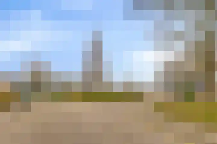 Oldenoert 84 Leek thumbnail 23