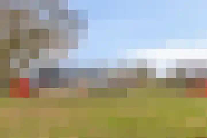 Oldenoert 84 Leek thumbnail 24