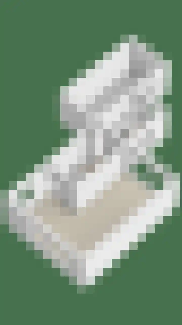 Oldenoert 84 Leek thumbnail 31