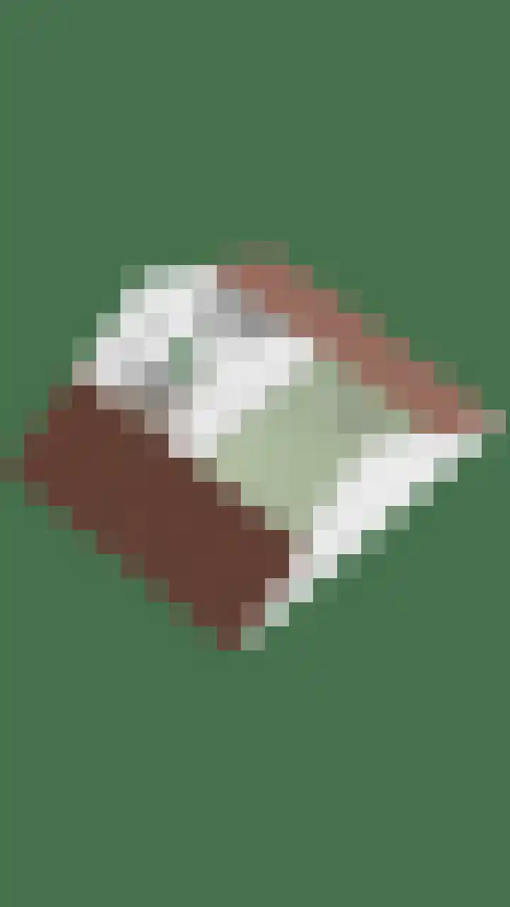 Oldenoert 84 Leek thumbnail 33