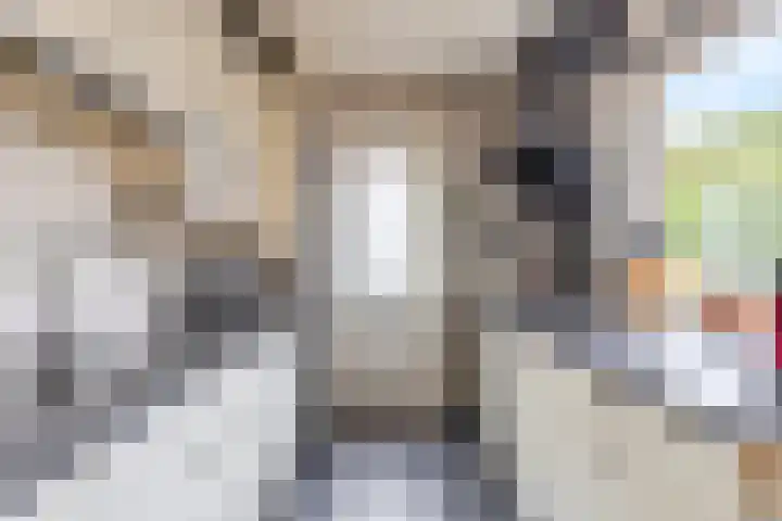 Oldenoert 84 Leek thumbnail 7